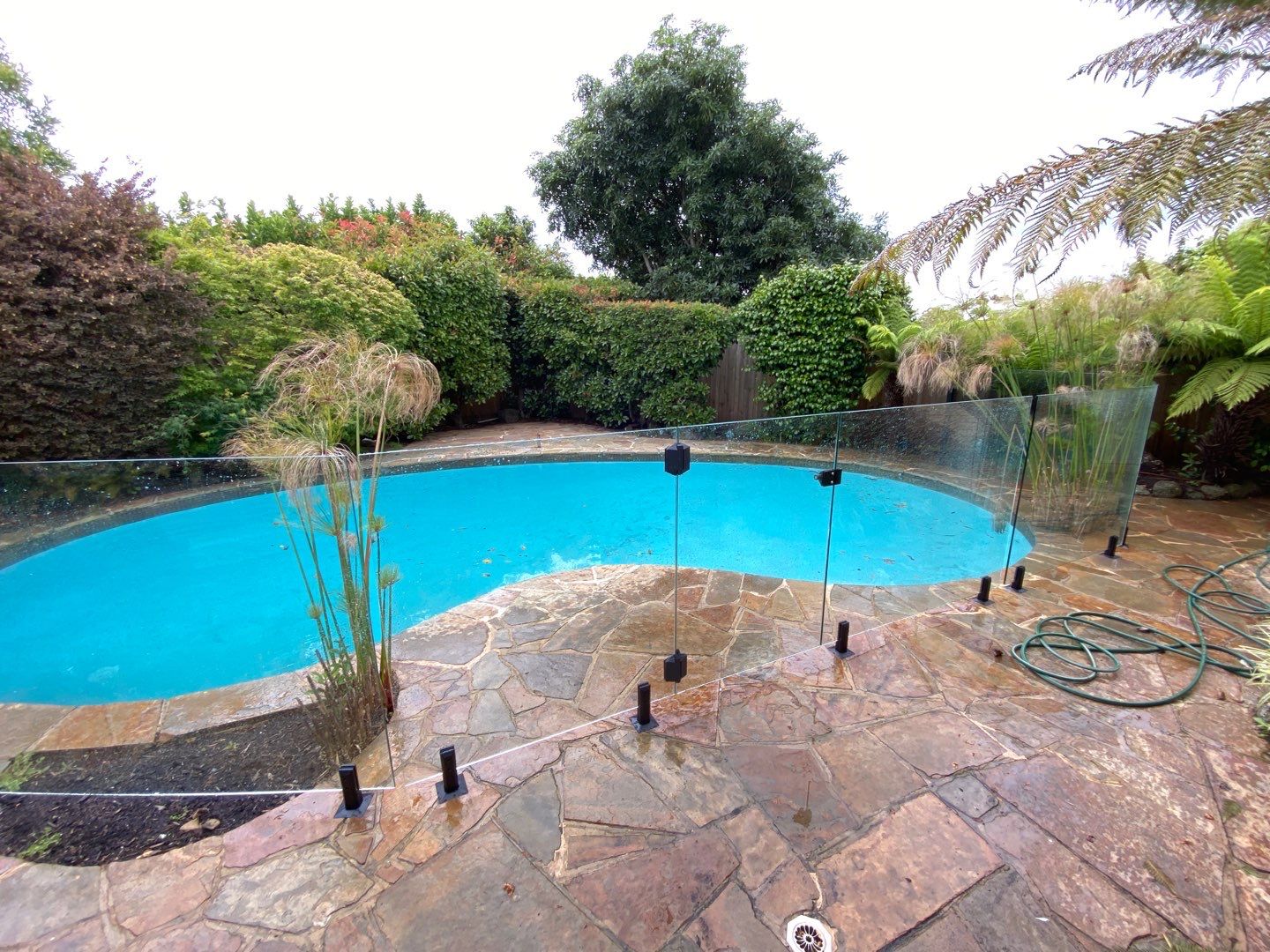 Glass Pool Fencing Ashburton 1